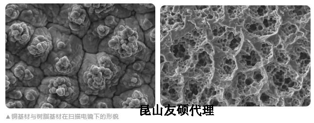 大足蔡司大足扫描电镜