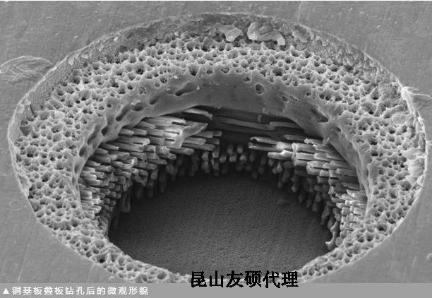 大足蔡司大足扫描电镜